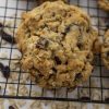 Oatmeal Raisin Cookie